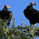 Photo: Wolfgang Kaehler/LightRocket via Getty Images